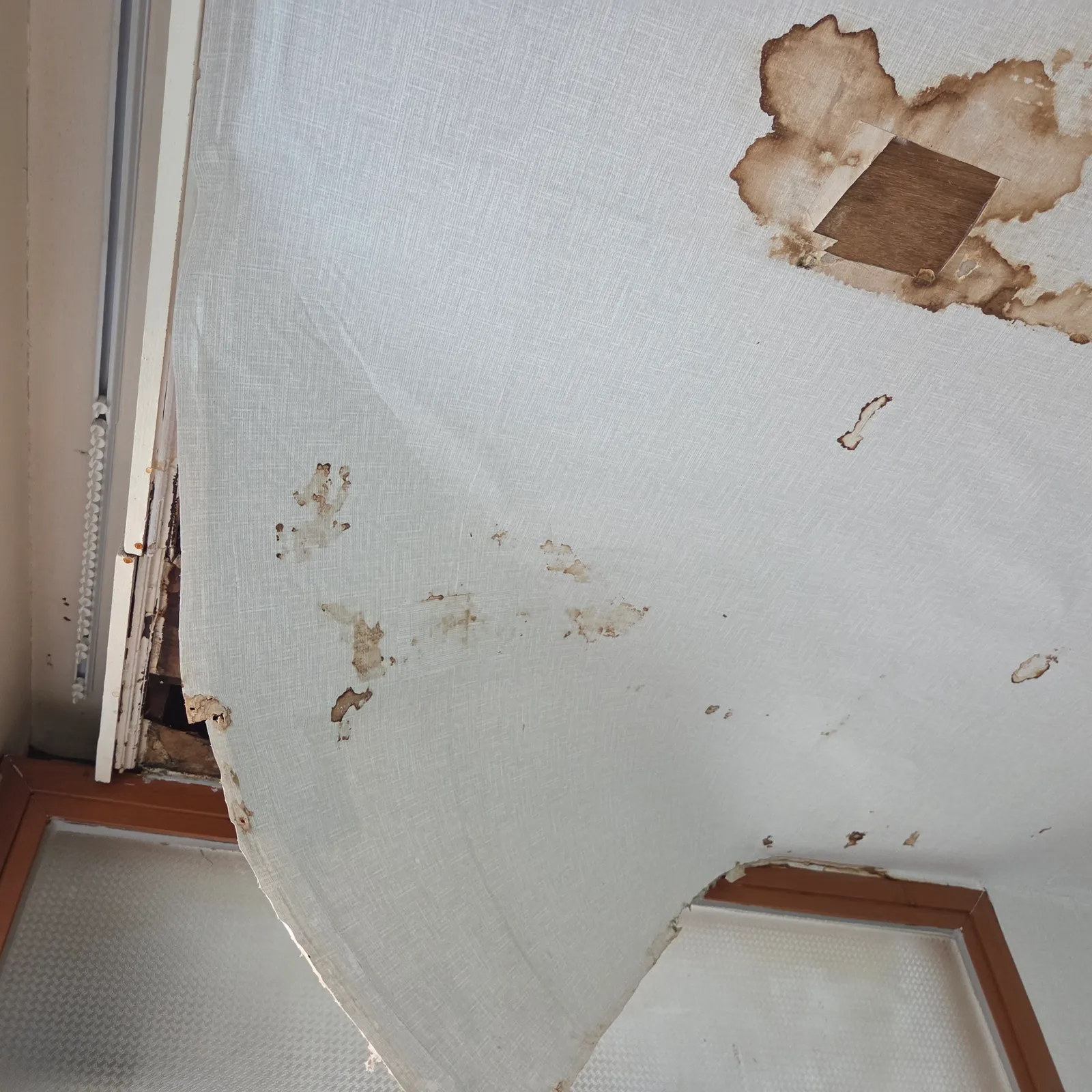 성남시 중원구 은행동 공용배관 누수 작업 후 확인 참고 사진
