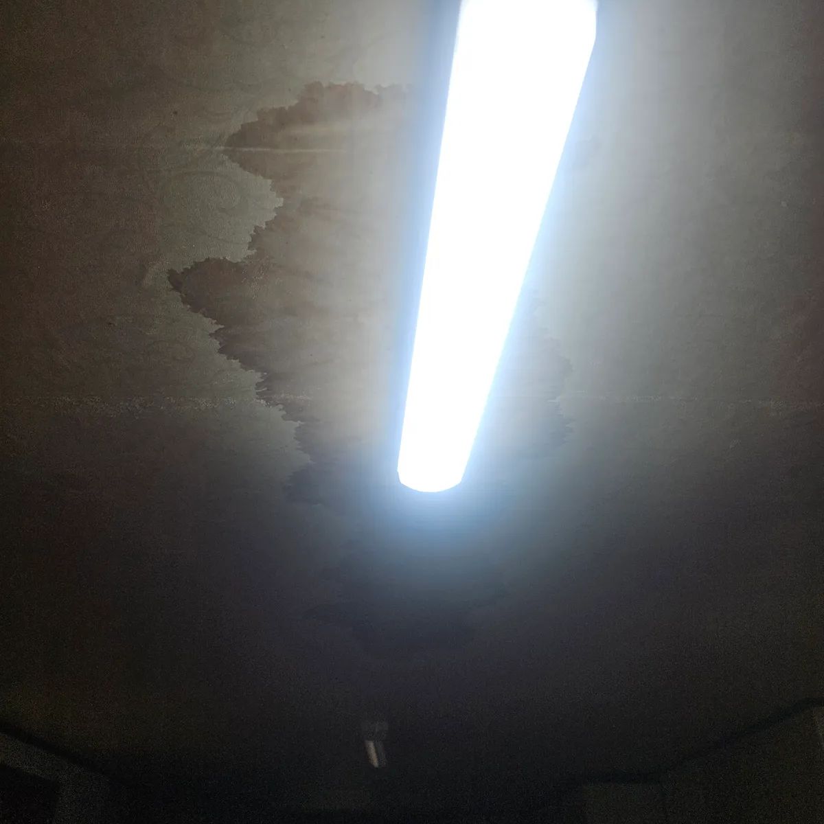 안산시 상록구 본오동 옥상 누수 누수 탐지 참고 사진