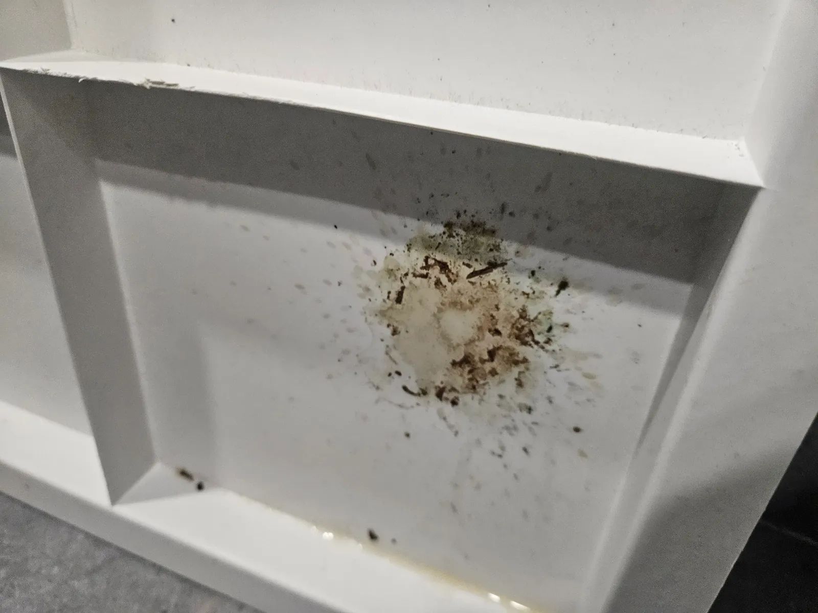 부천시 소사구 심곡본동 공용배관 누수 누수 탐지 참고 사진