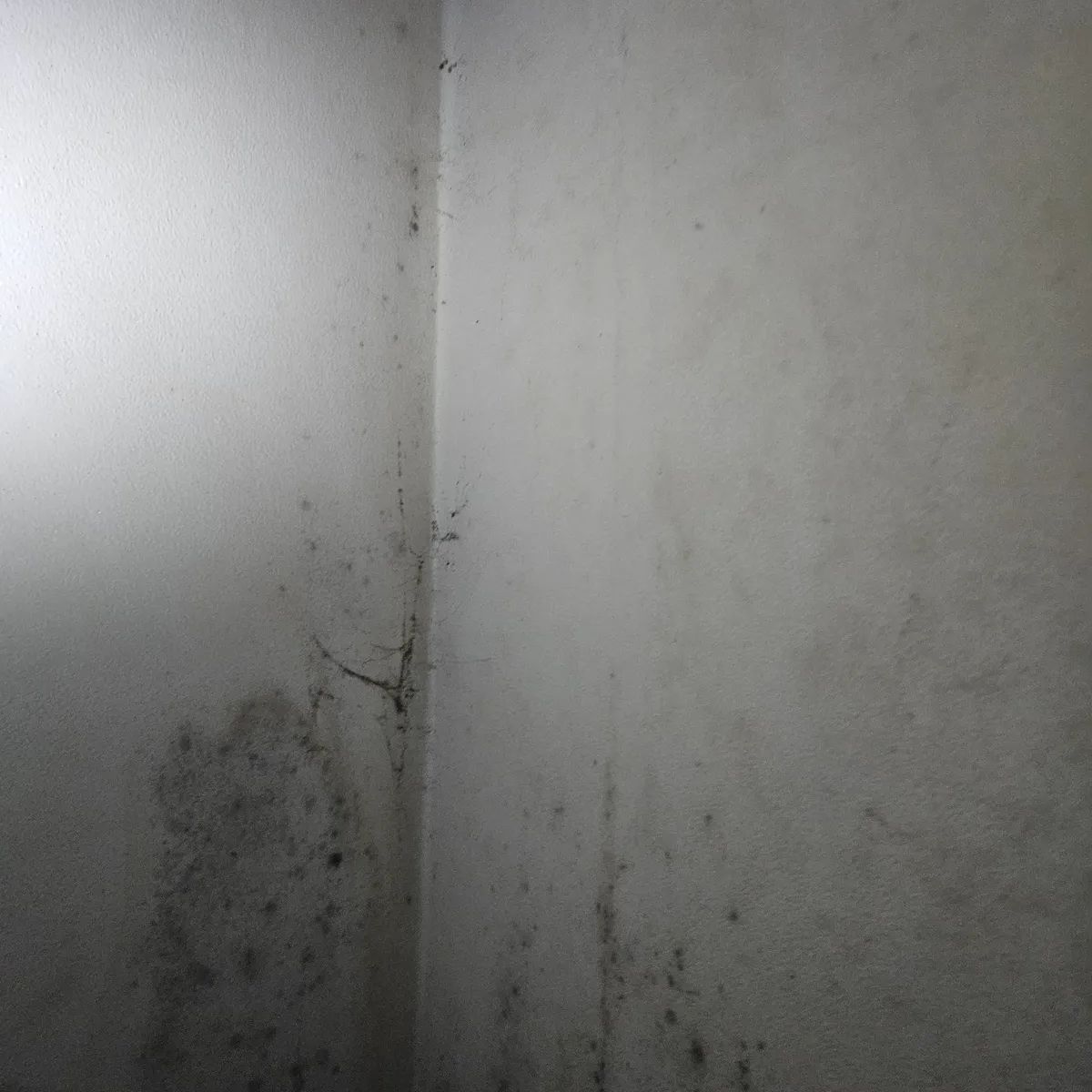 성동구 행당동 공용배관 누수 보수 범위 안내 참고 사진